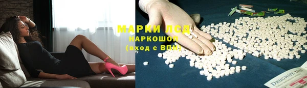 PSILOCYBIN Алзамай