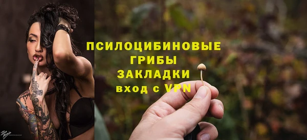 PSILOCYBIN Алзамай