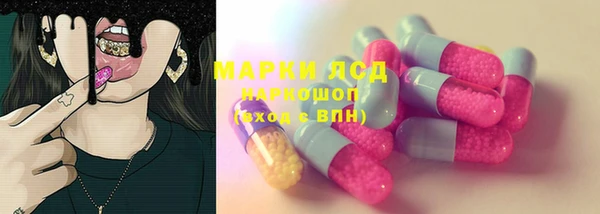 стаф Алексин