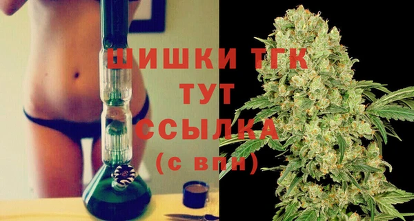 сатива Пестово