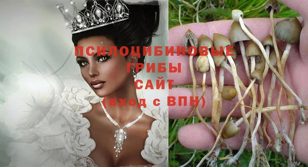 spice Алексеевка