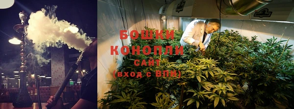 PSILOCYBIN Алзамай
