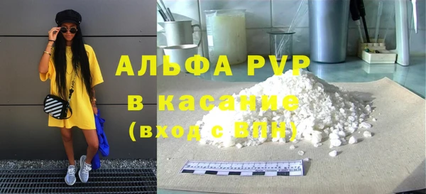 стаф Алексин