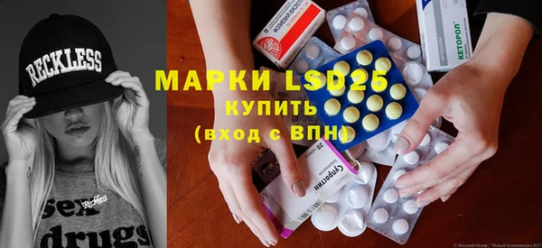 PSILOCYBIN Алзамай