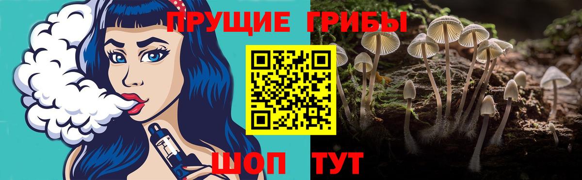 Энгельс  Псилоцибиновые грибы GOLDEN TEACHER  Вход с VPN 
