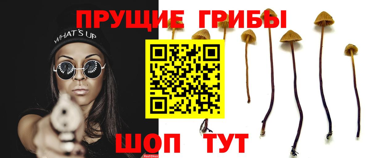 Галлюциногенные грибы Magic Shrooms Энгельс